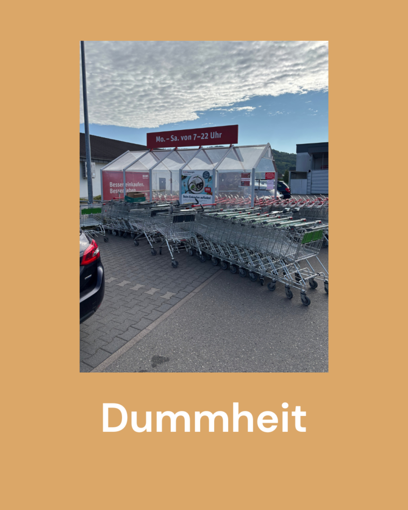 Dummheit und Faulheit